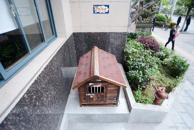 中國寵物房行業(yè)市場規(guī)模及未來發(fā)展趨勢(圖2) 中國寵物房行業(yè)市場規(guī)模及未來發(fā)展趨勢(圖2)