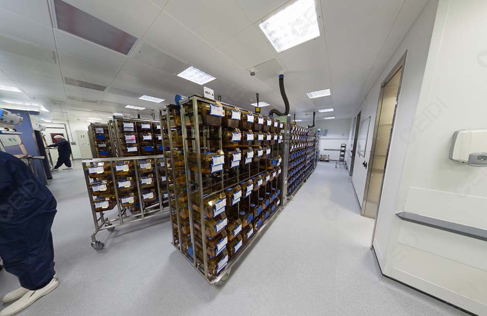 嚙齒類動物手術指導原則(圖2) 動物222222.jpg